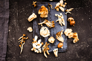 16 curiosidades sobre cogumelos